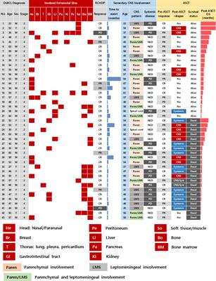 Real-world experiences of CNS-directed chemotherapy followed by autologous stem cell transplantation for secondary CNS involvement in relapsed or refractory diffuse large B-cell lymphoma